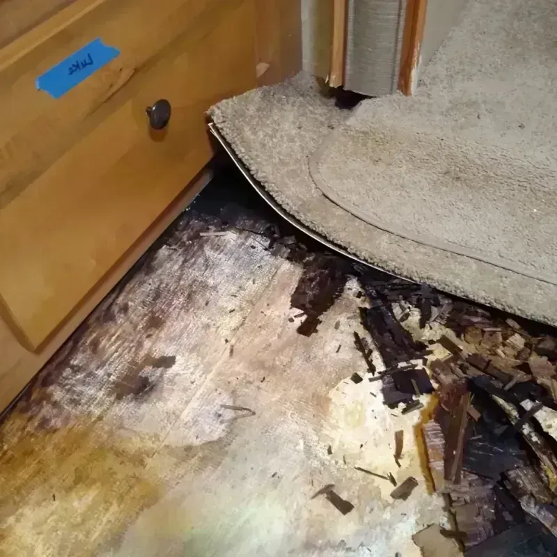 Best Wood Floor Water Damage Service in Pinole, CA